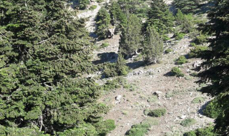 Kobayat Trip – June 2017 11